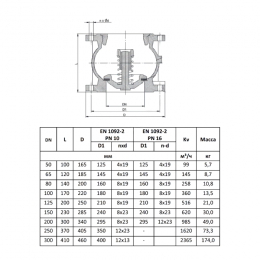 Клапан обратный чугун пружинный 402A Ду 150 Ру16 фл диск чугун Zetkama 402A150C52