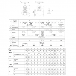 Клапан запорный чугун 215A Ду 200 Ру16 Тмакс=300 оС фл со штурвалом сальниковый Zetkama 215A200C04