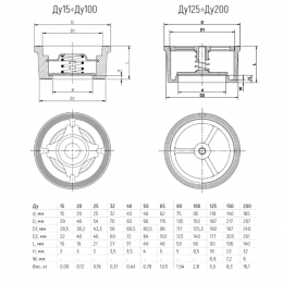 Клапан обратный нерж CF8M осевой Ду 40 Ру40 Тмакс=180 оС межфл диск нерж Benarmo