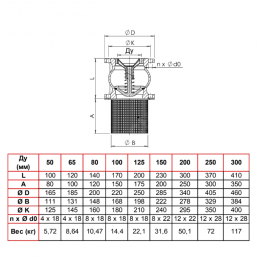 Клапан обратный чугун осевой CC3241 Ду 65 Ру16 Тмакс=80 оС фл с приемной сеткой диск чугун Tecofi CC3241-0065