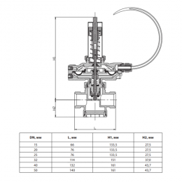 Клапан балансировочный автомат латунь APT-R Ду 40 Rp2" Ру20 Тмакс=120 оС НР 5-35 кПа Kvs=15м3/ч без ниппелей Ридан 003Z5705R