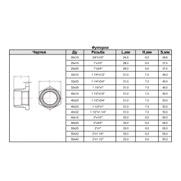 Футорка чугун Ду 32х20 (1 1/4"х3/4") НР/ВР, оцинкованная