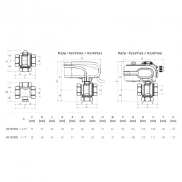 Клапан регулирующий латунь R279 Ду 25 ВР G1" с отсечным клапаном Giacomini R279Y005